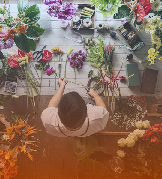 plants lover image